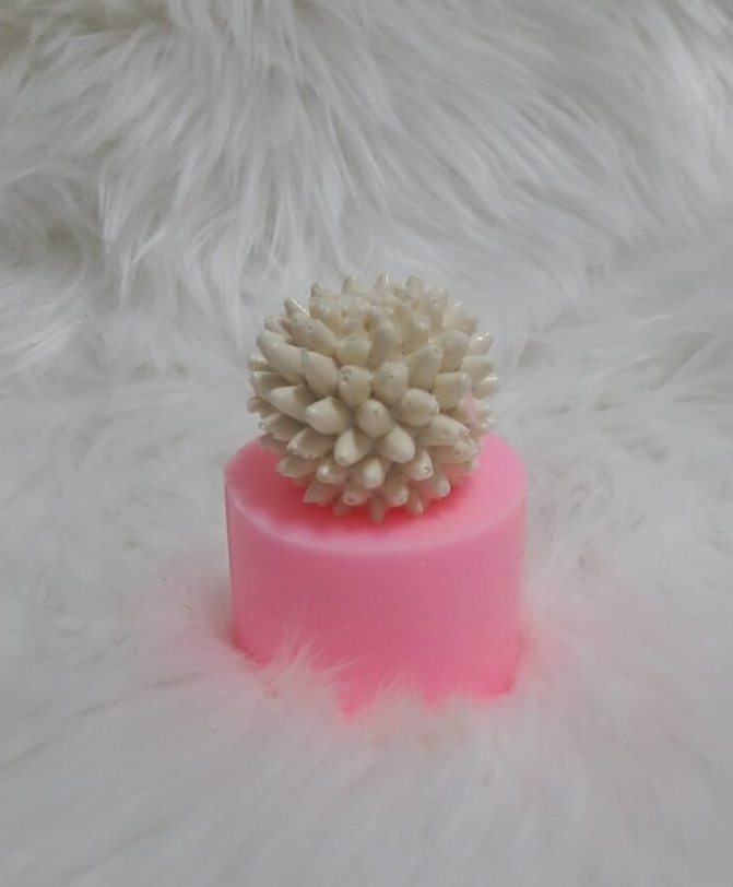 Top kaktüs minik silikon kalip